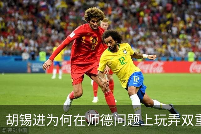胡锡进为何在师德问题上玩弄双重标准？